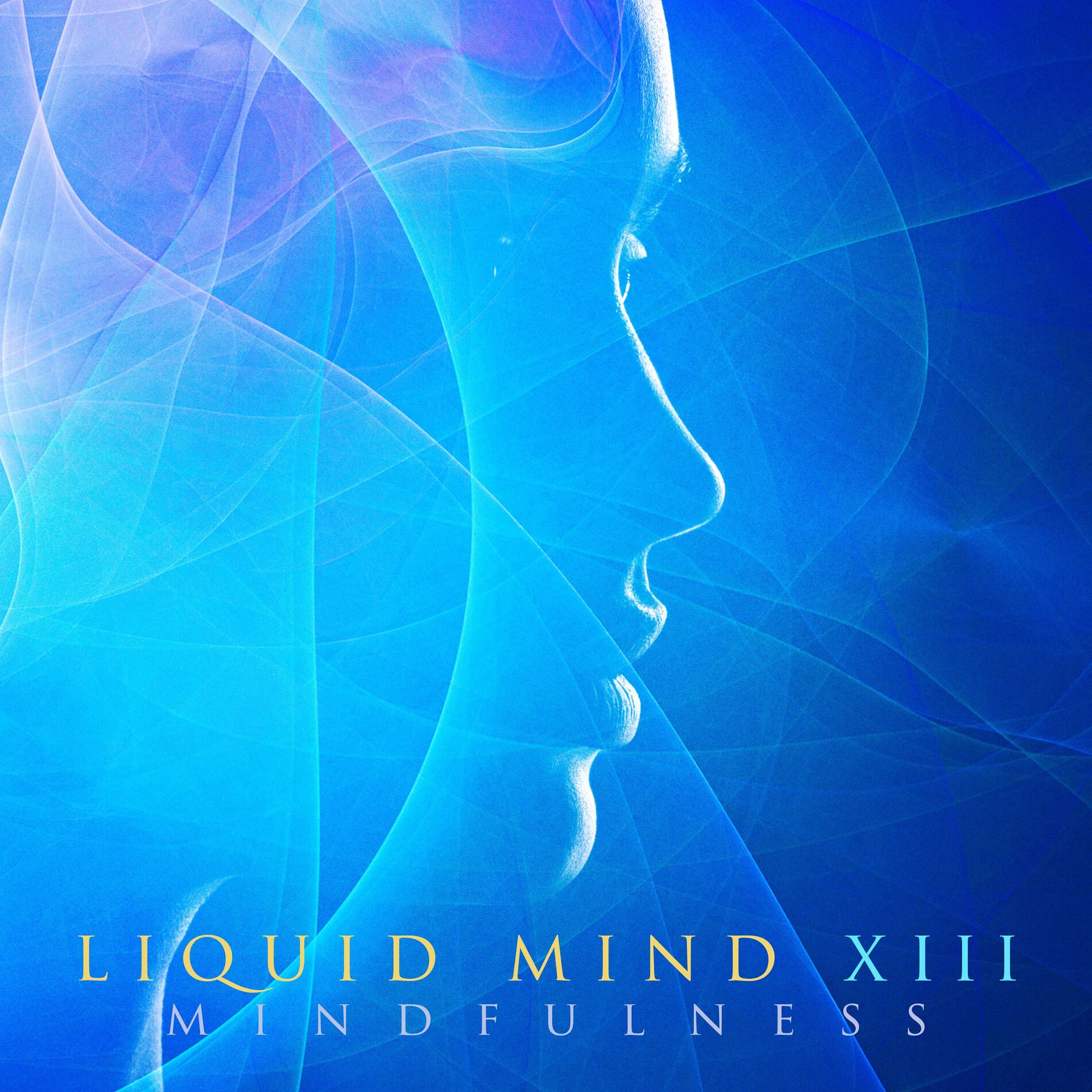 Album cover of Liquid Mind XIII: Mindfulness