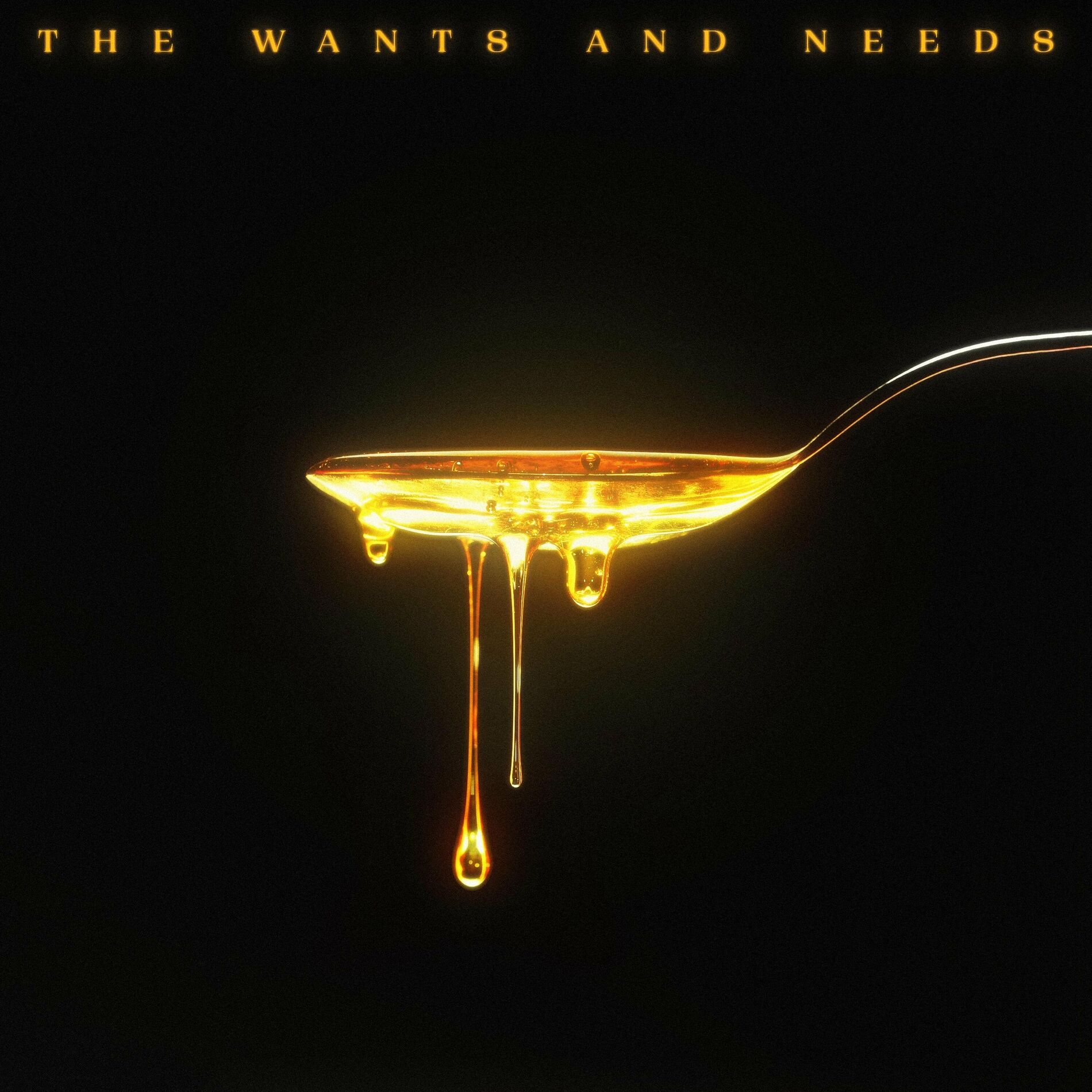 Album cover of The Wants and Needs