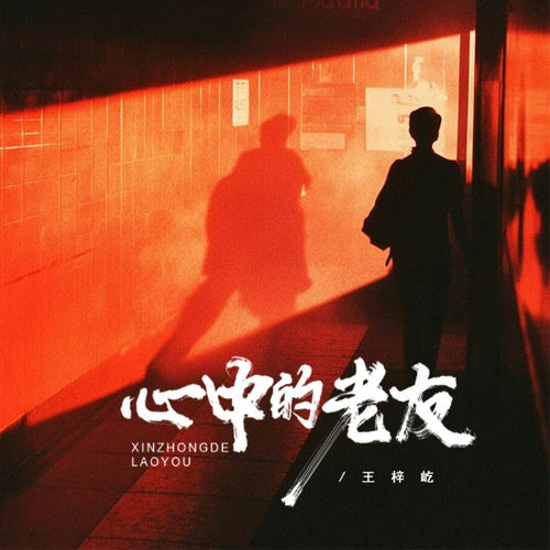 心中的老友 (DJBanan版)