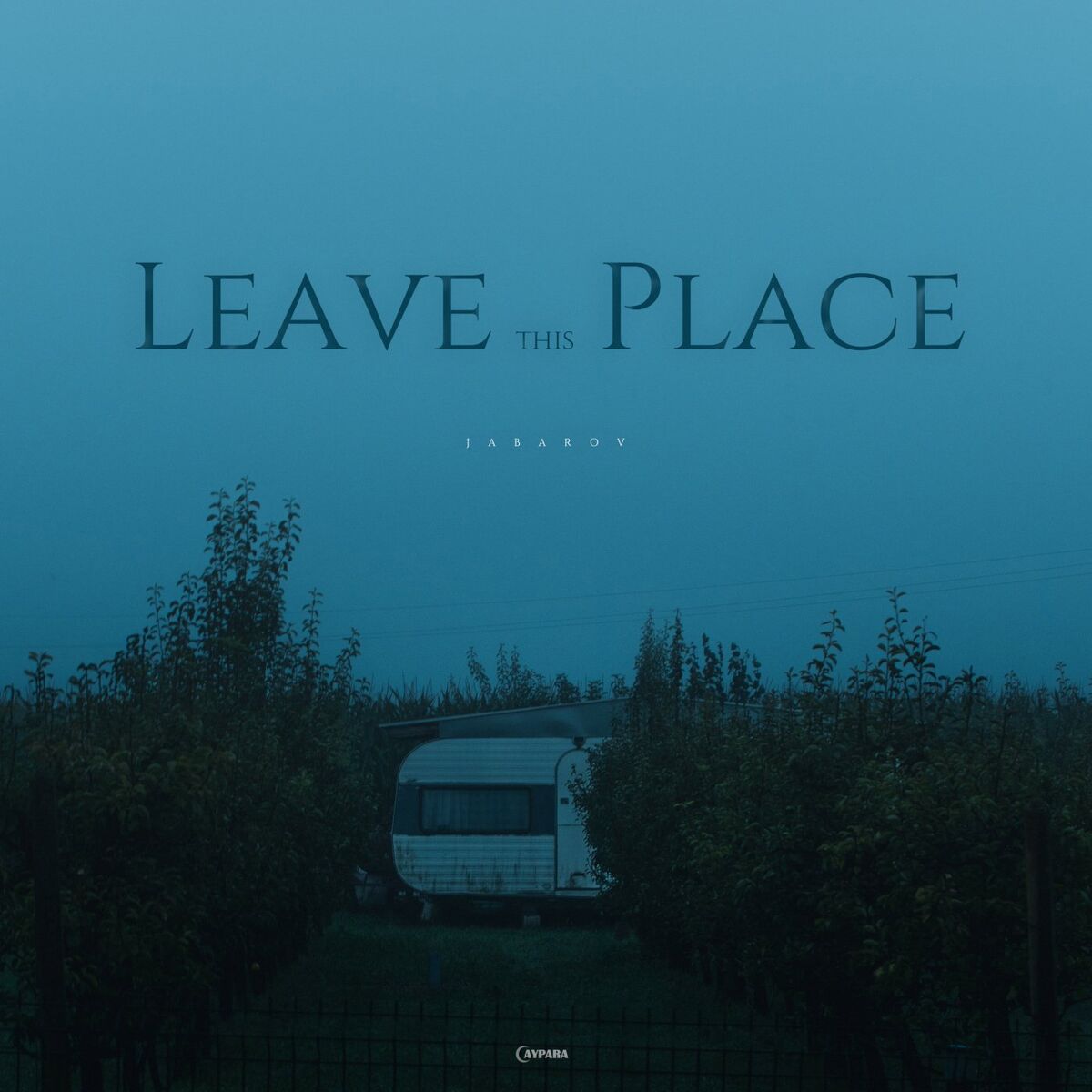 Album cover of Leave This Place