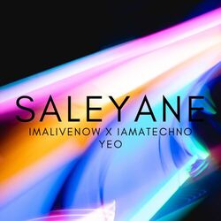 Cover of Saleyane