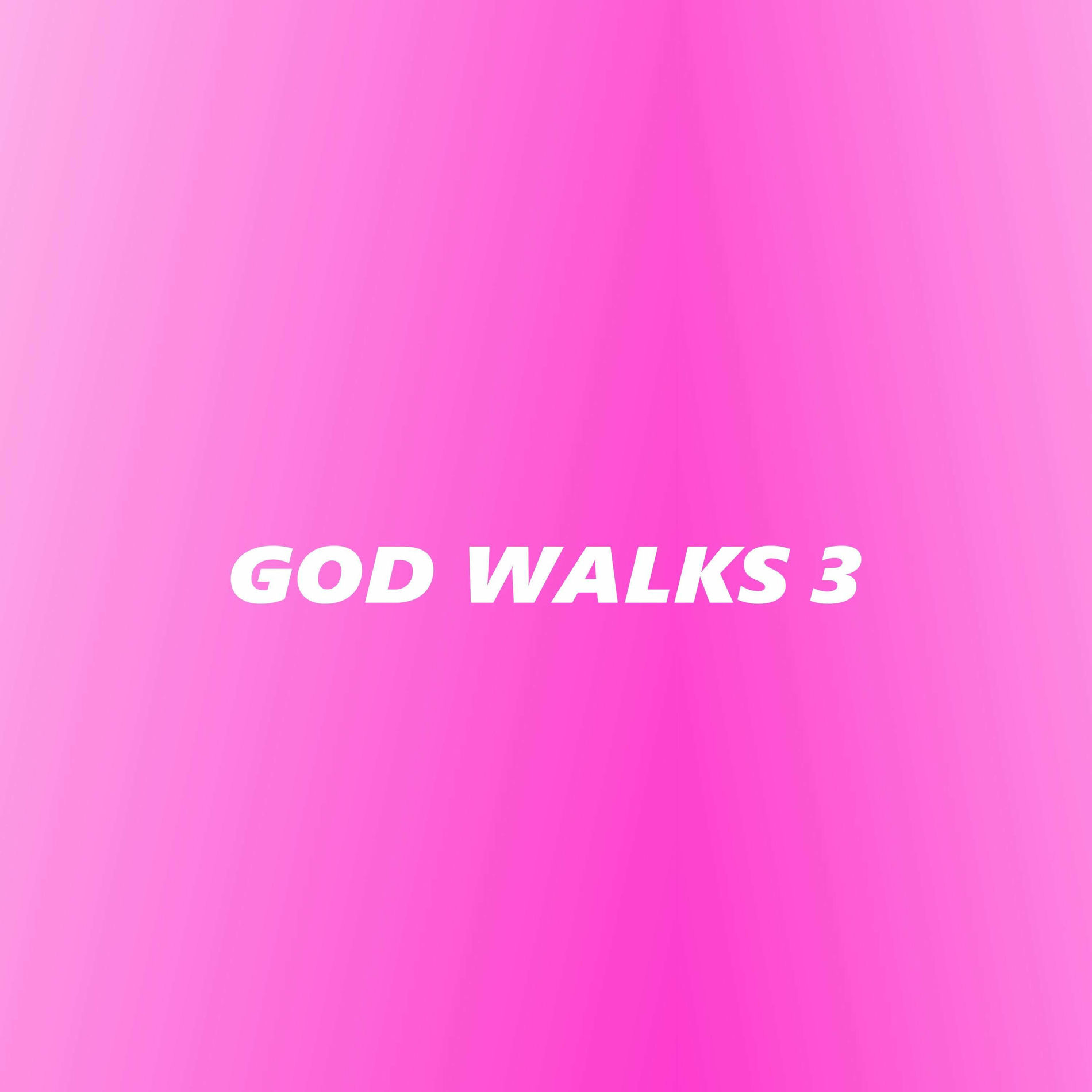 Album cover of God Walks 3