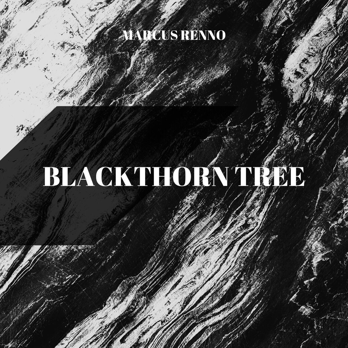 Album cover of Blackthorn Tree
