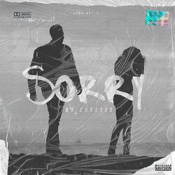 Cover of Sorry