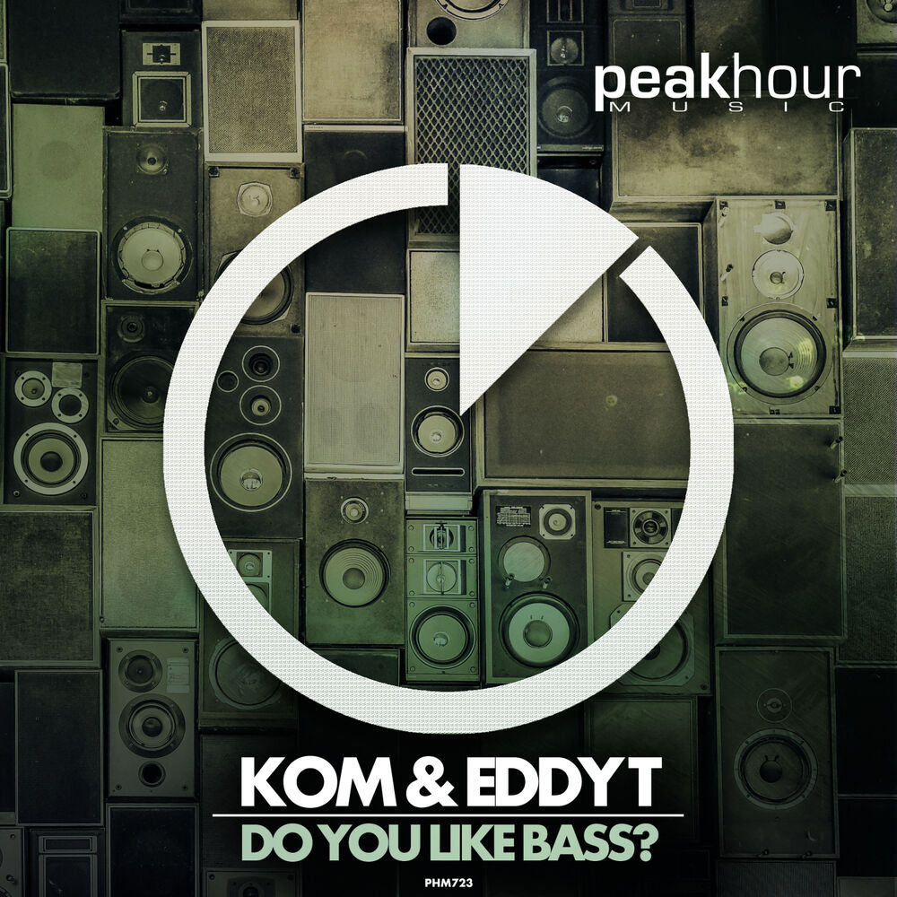 Picture of Do You Like Bass?