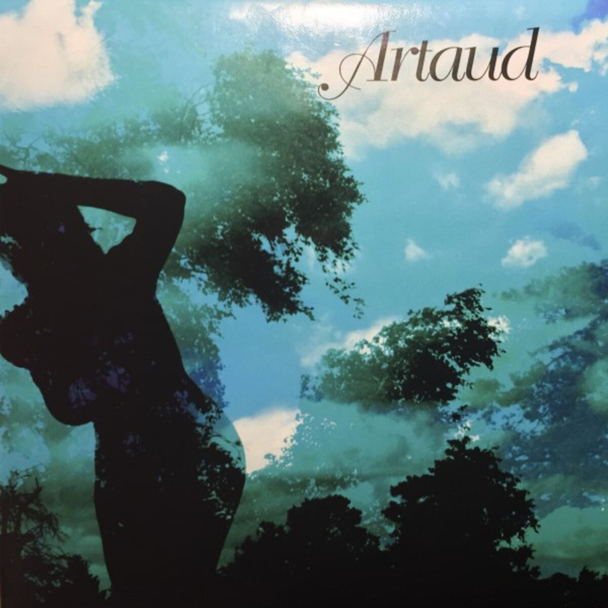 Album cover of Artaud