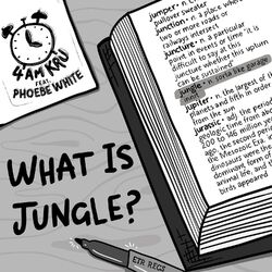 Cover of What Is Jungle (Extended Mix)