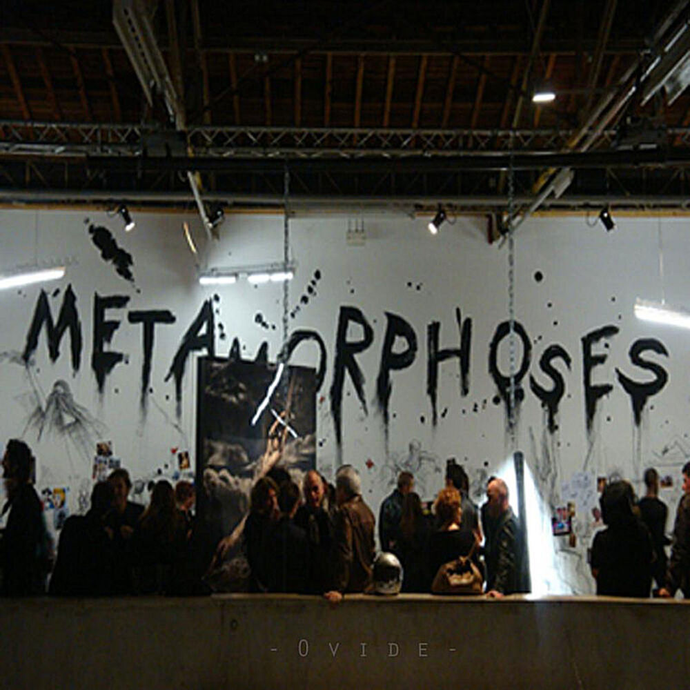 Picture of Metamorphosis