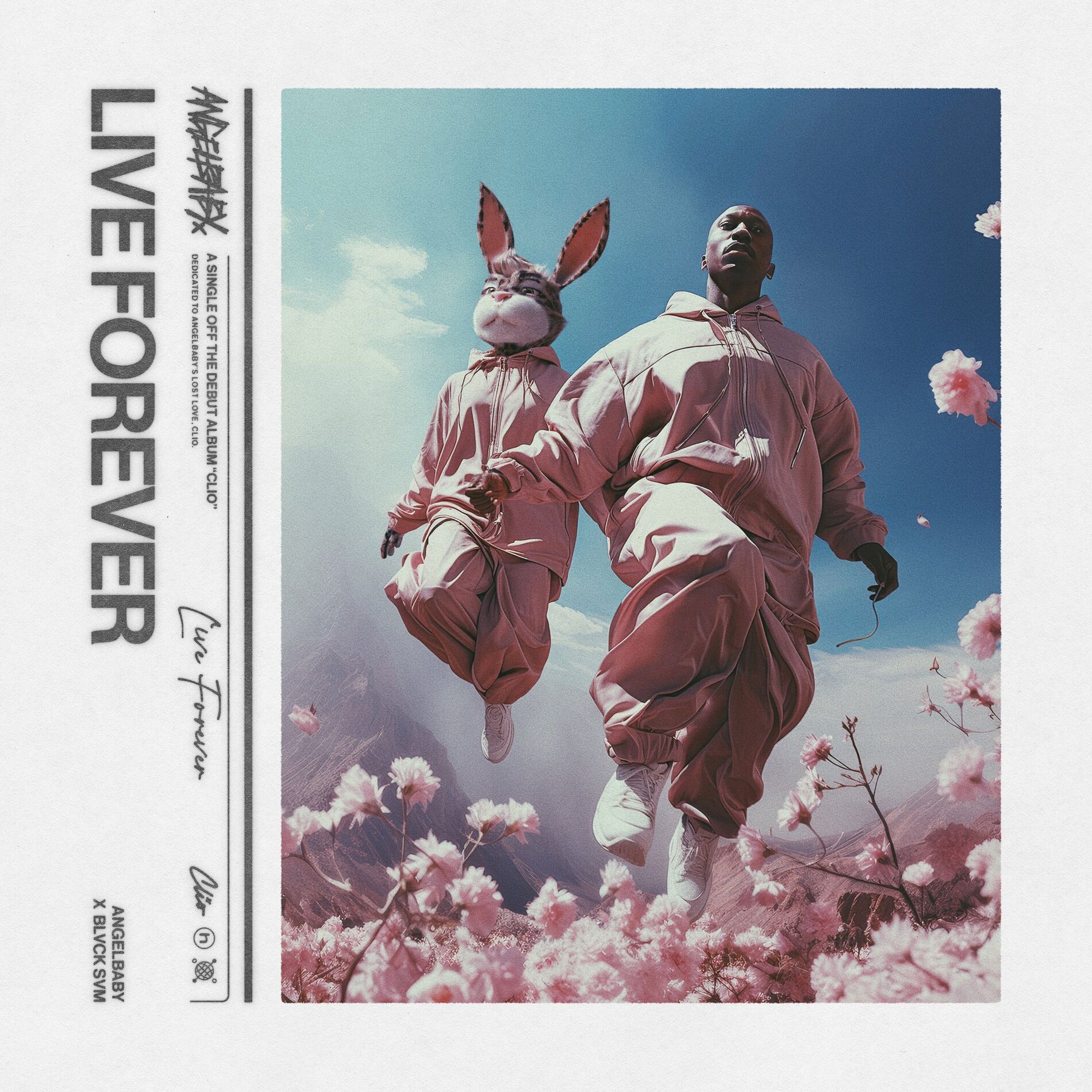 Album cover of live forever