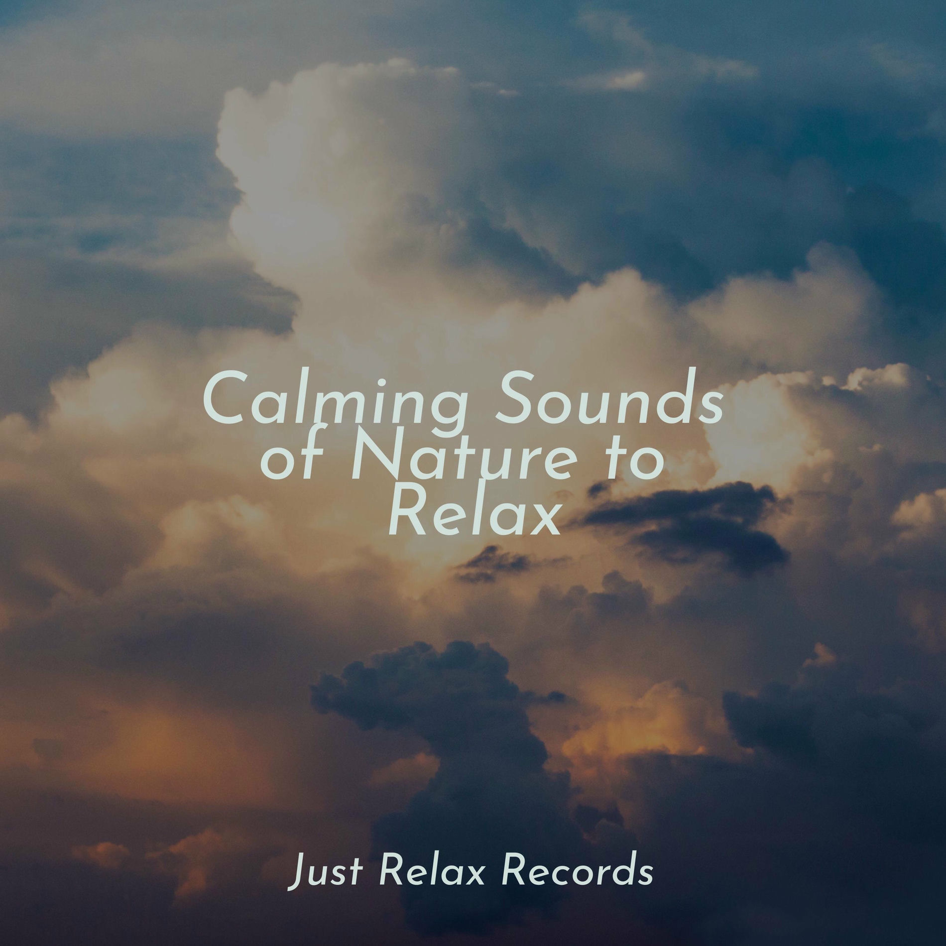 Album cover of Calming Sounds of Nature to Relax
