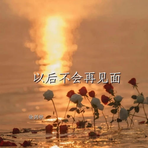 以后不会再见面