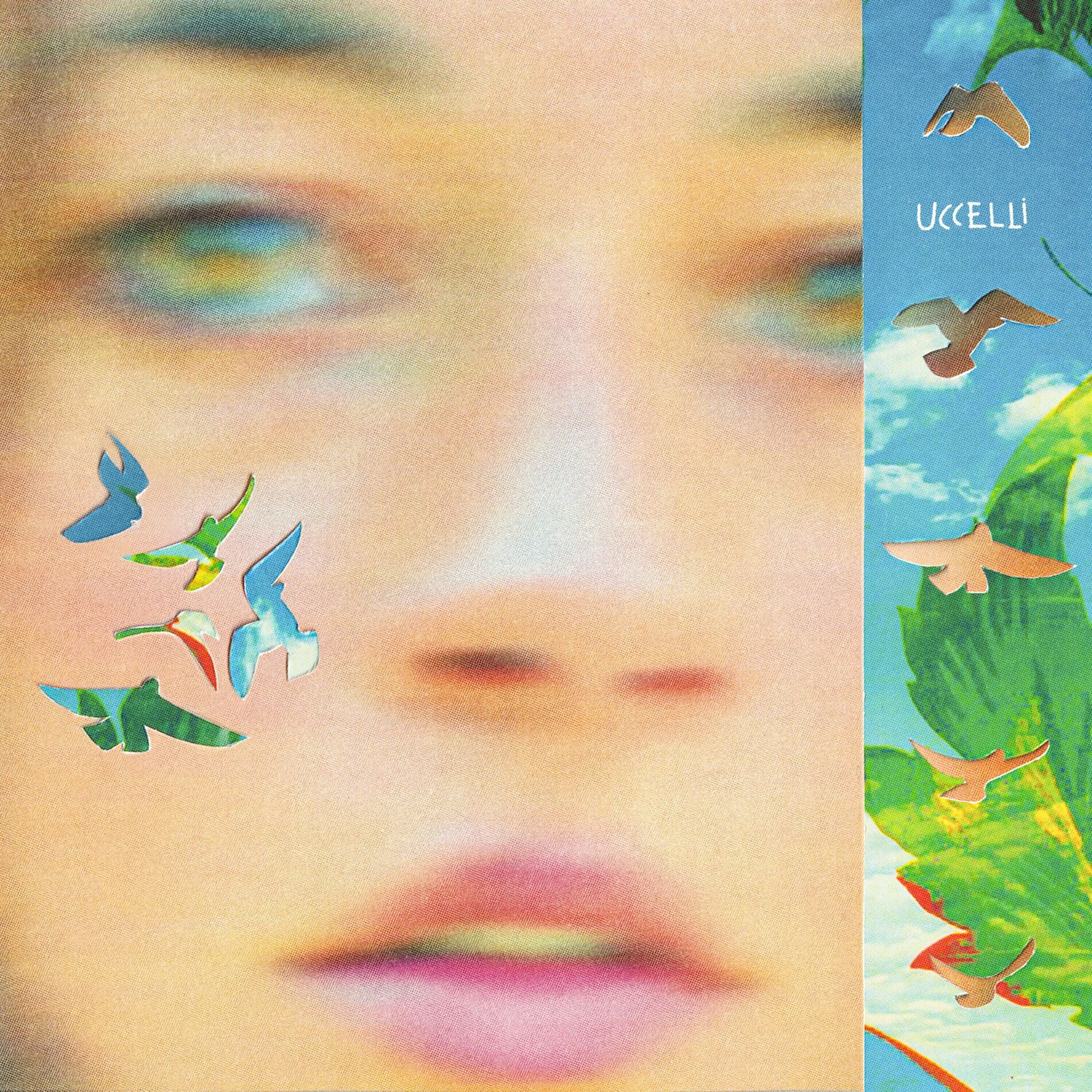 Album cover of uccelli