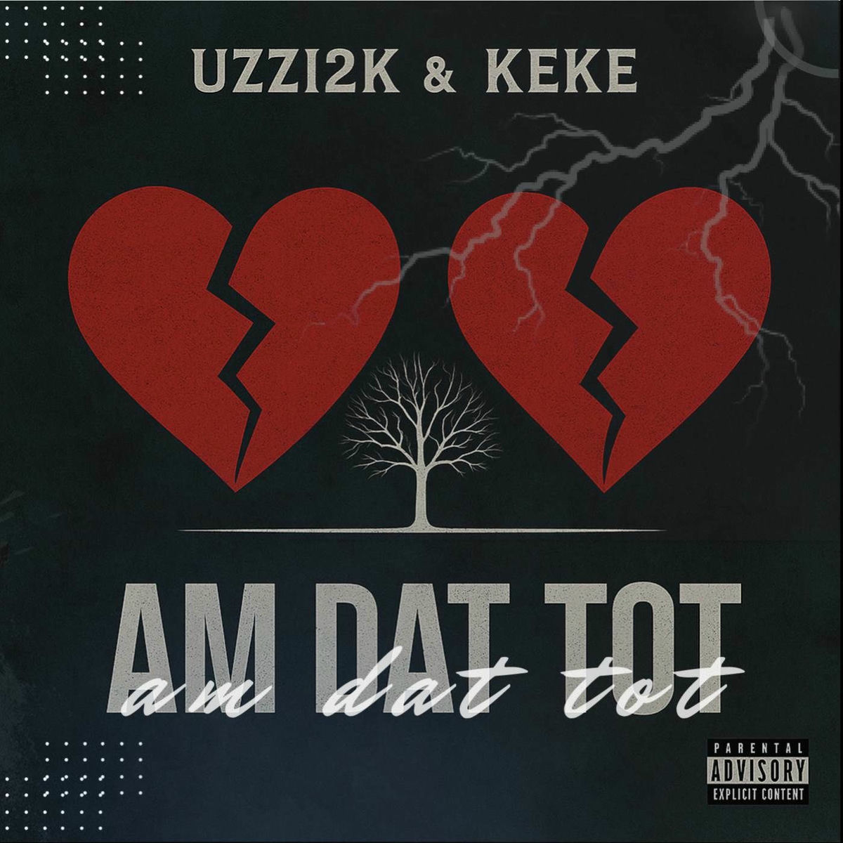 Album cover of Am Dat Tot