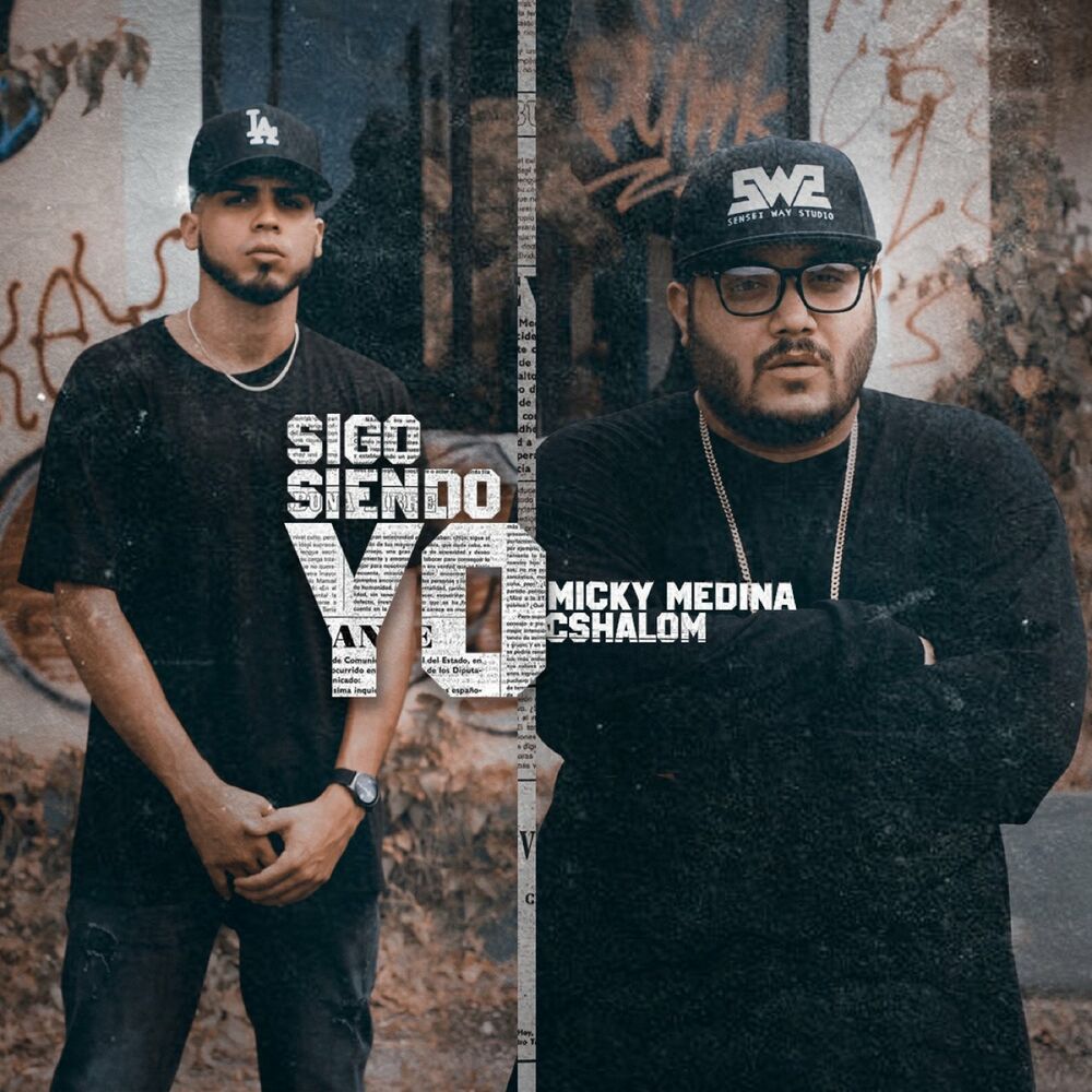 Picture of Sigo Siendo Yo (Remix)