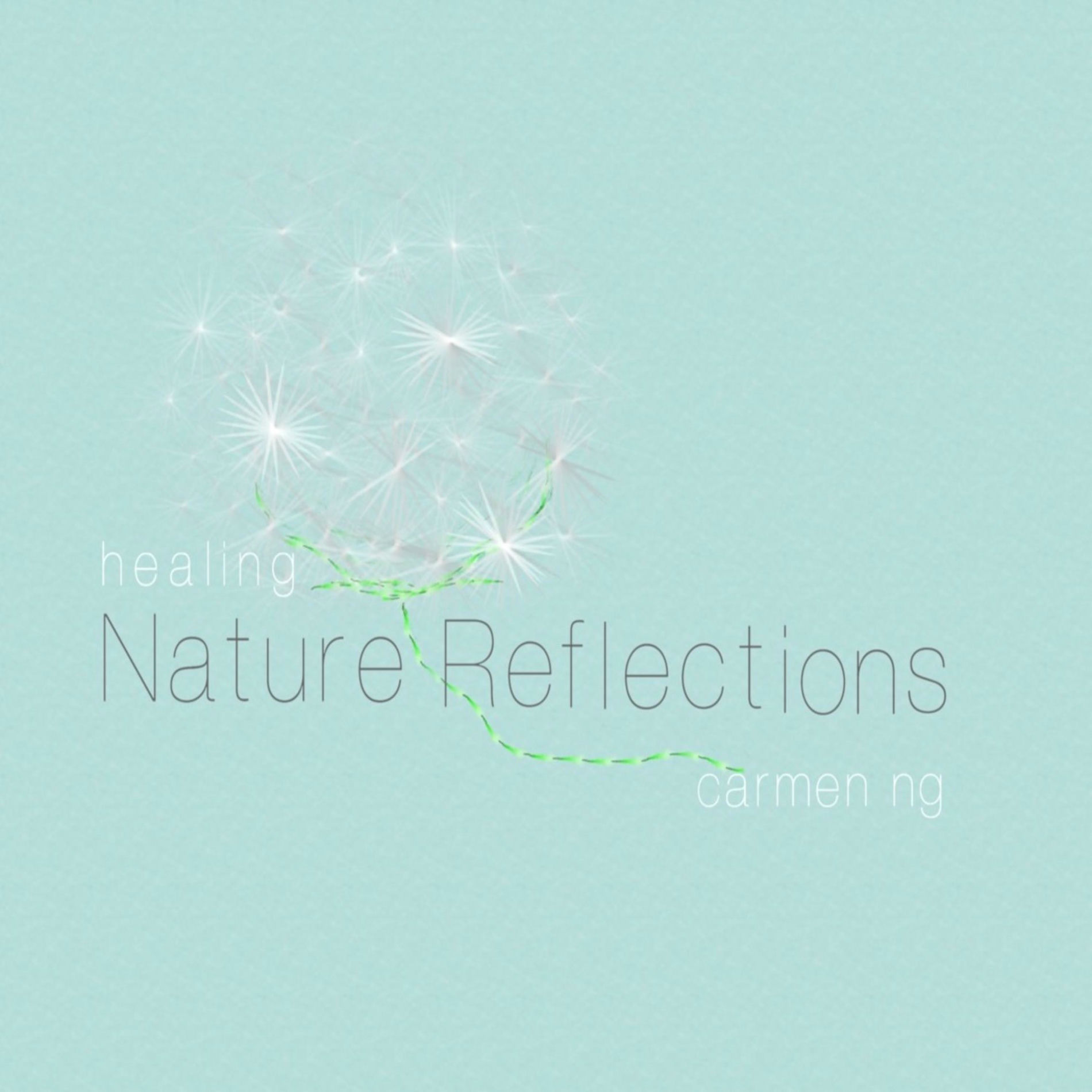 Album cover of Healing : Nature Reflections