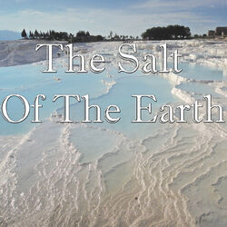 Cover of The Salt Of The Earth