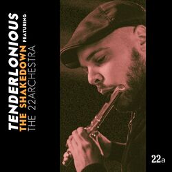 Cover of The Shakedown