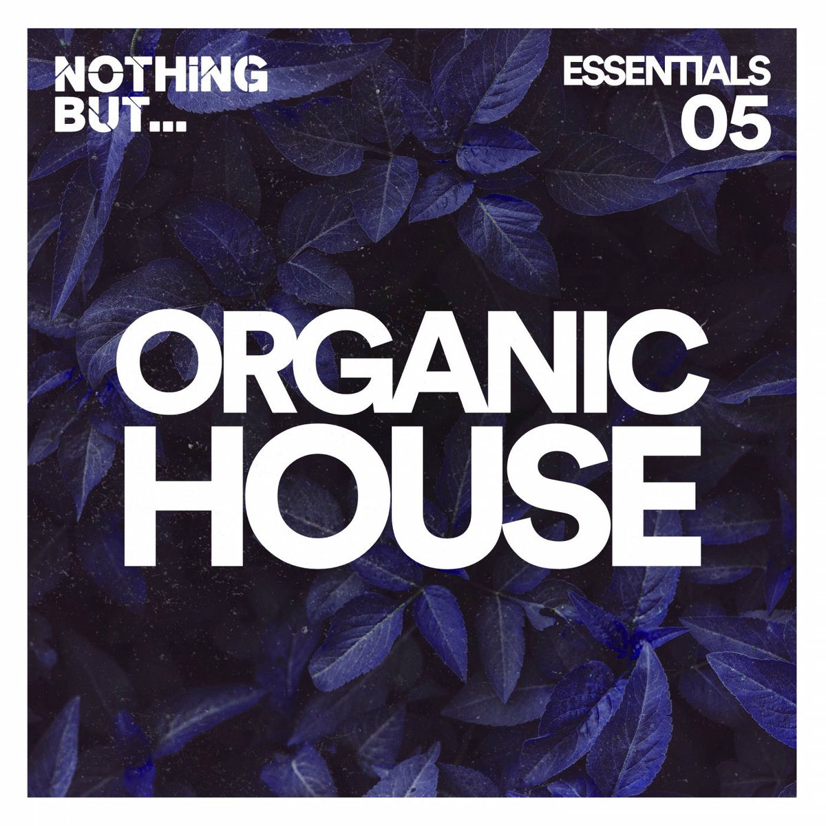 Album cover of Nothing But... Organic House Essentials, Vol. 05