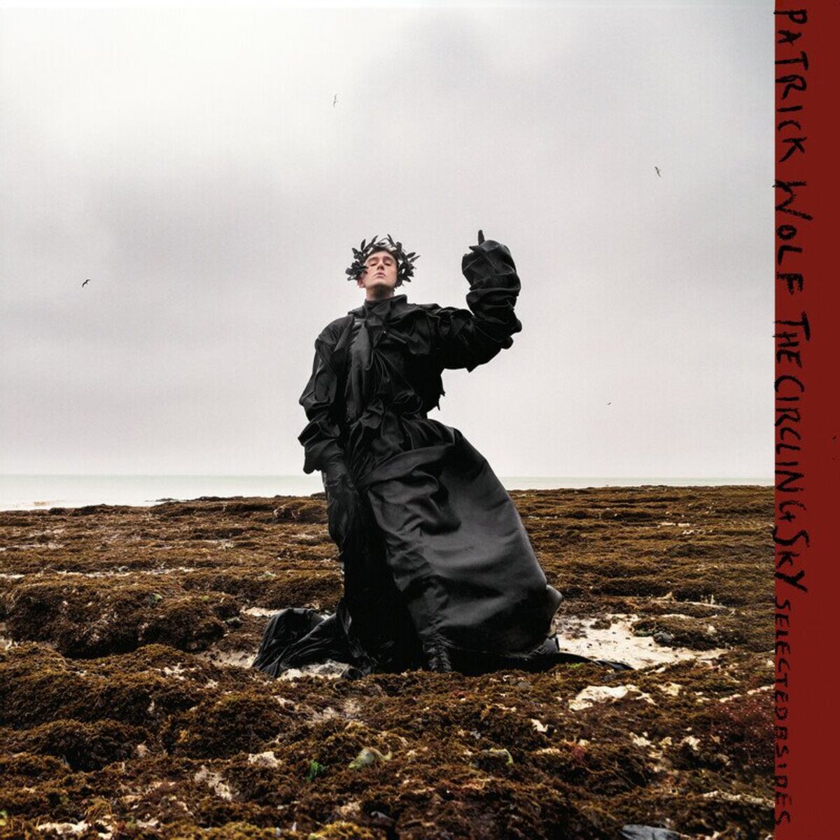 Album cover of The Circling Sky (Selected B-Sides)