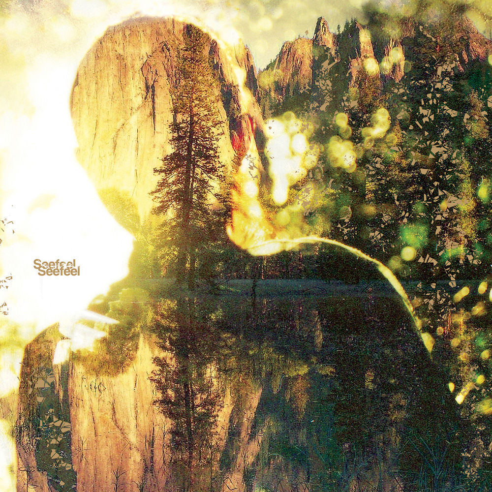 Picture of Seefeel