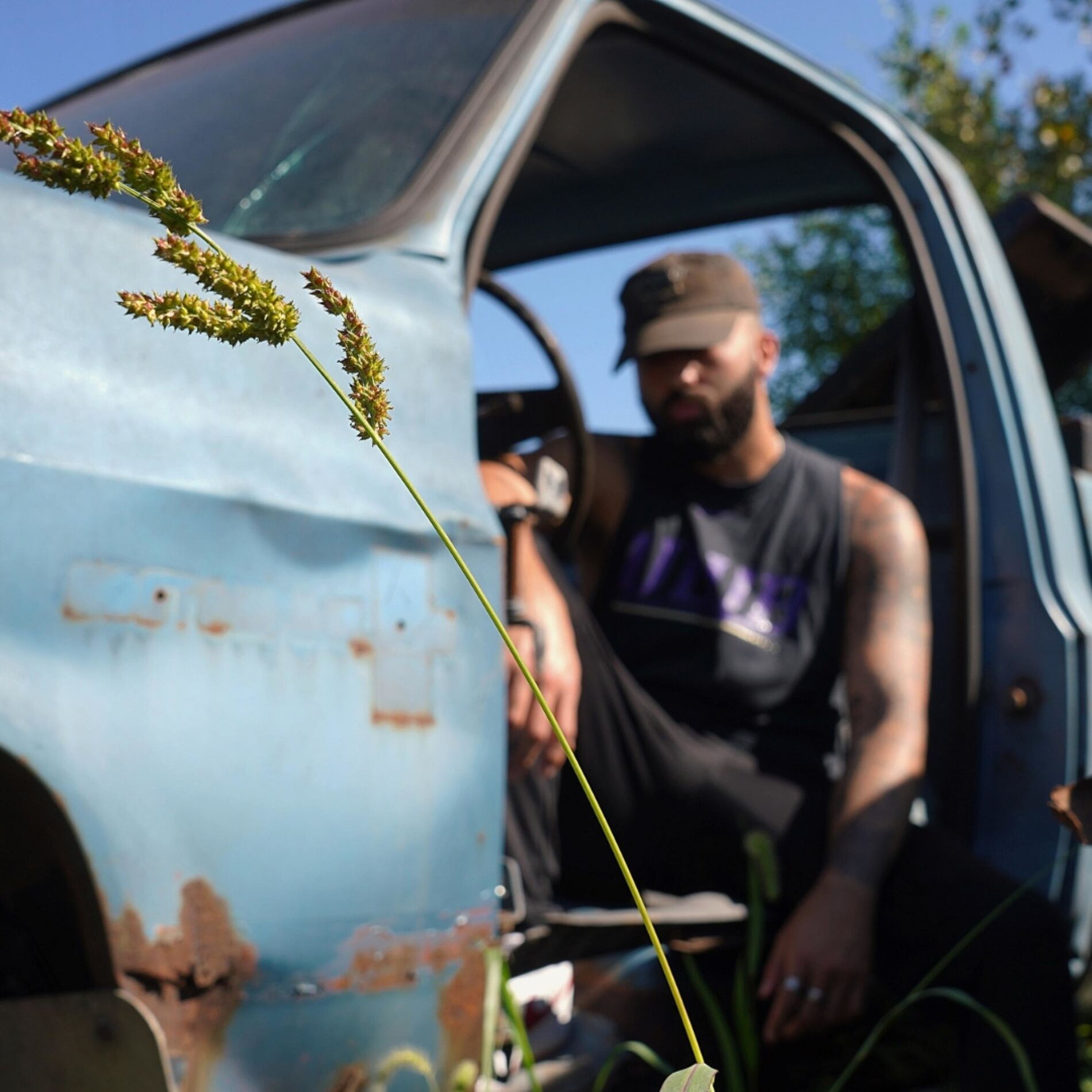Album cover of Car Chronicles