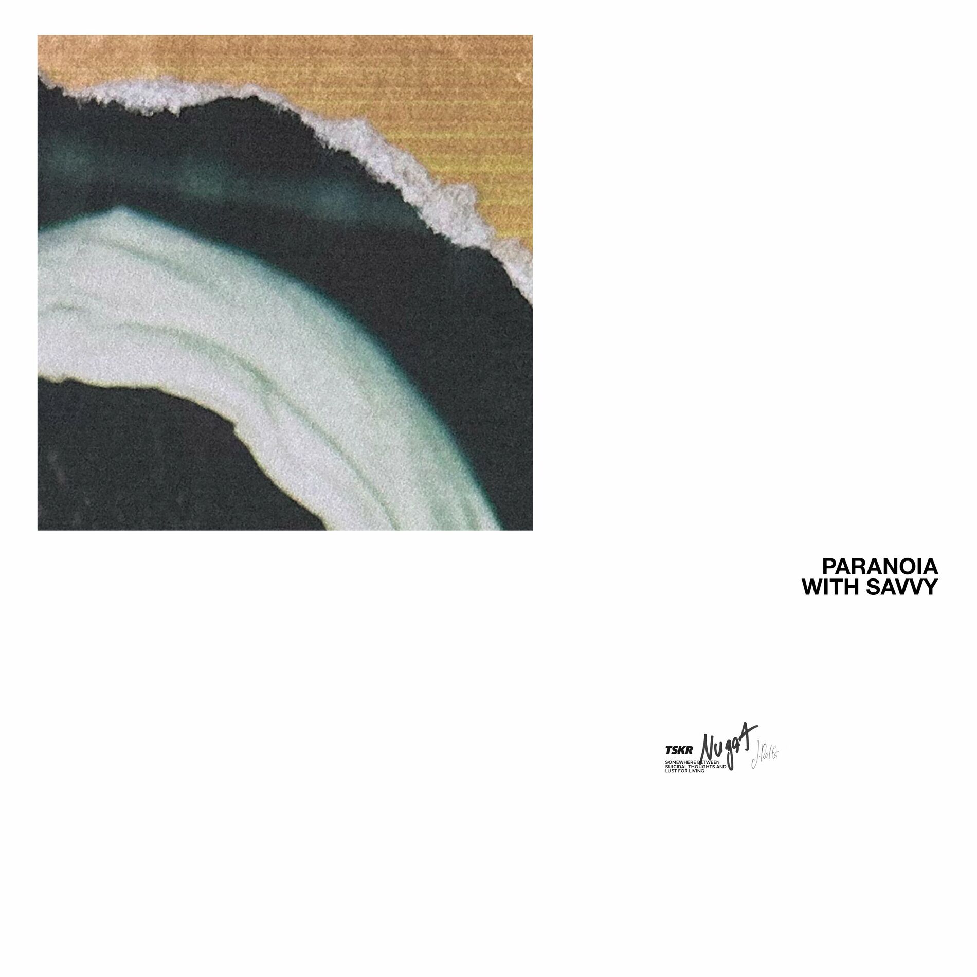 Album cover of Paranoia