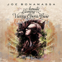 Cover of An Acoustic Evening (Live at the Vienna Opera House)