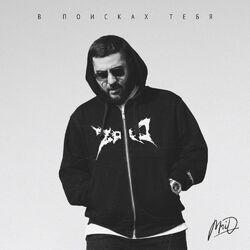 Cover of В поисках тебя