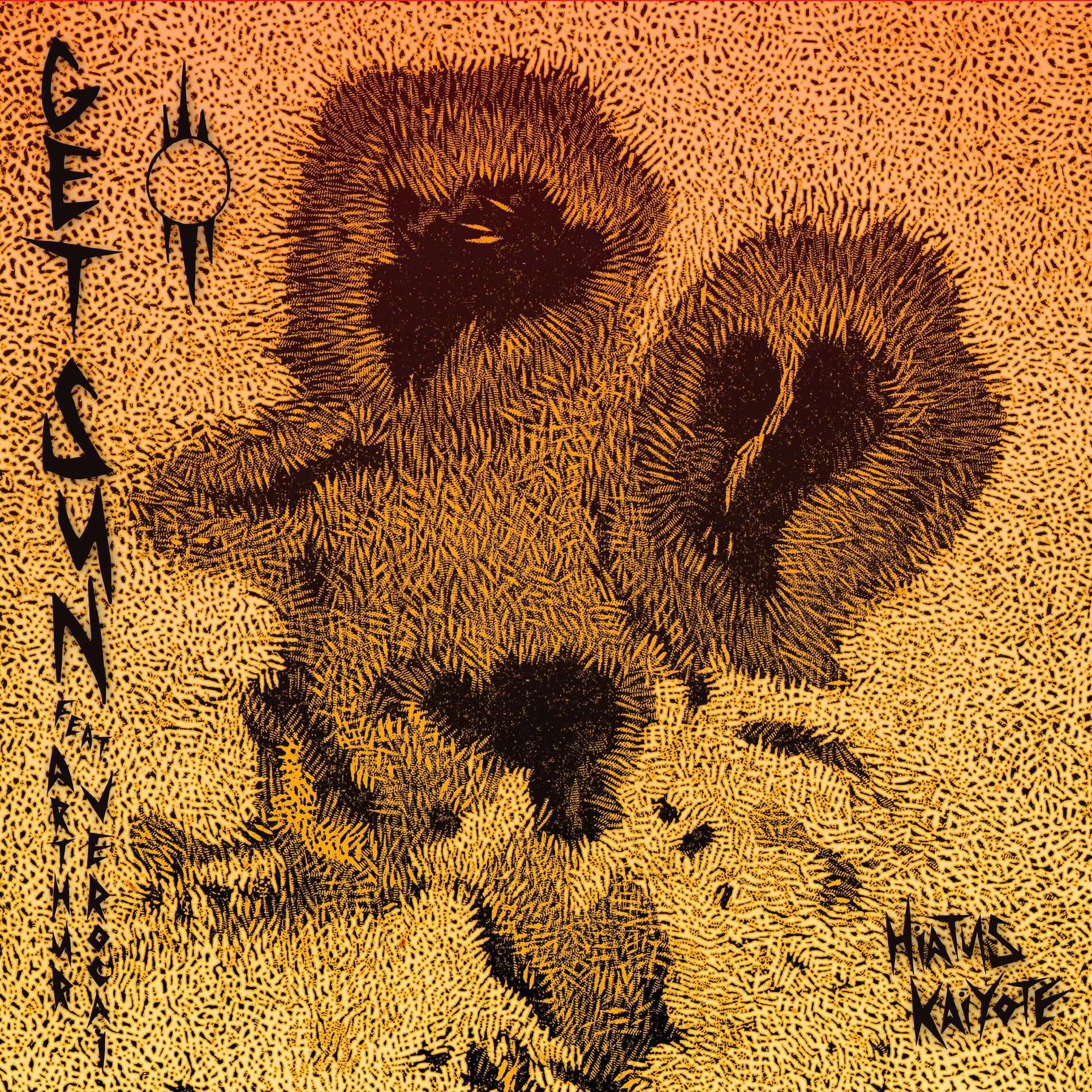 Album cover of Get Sun