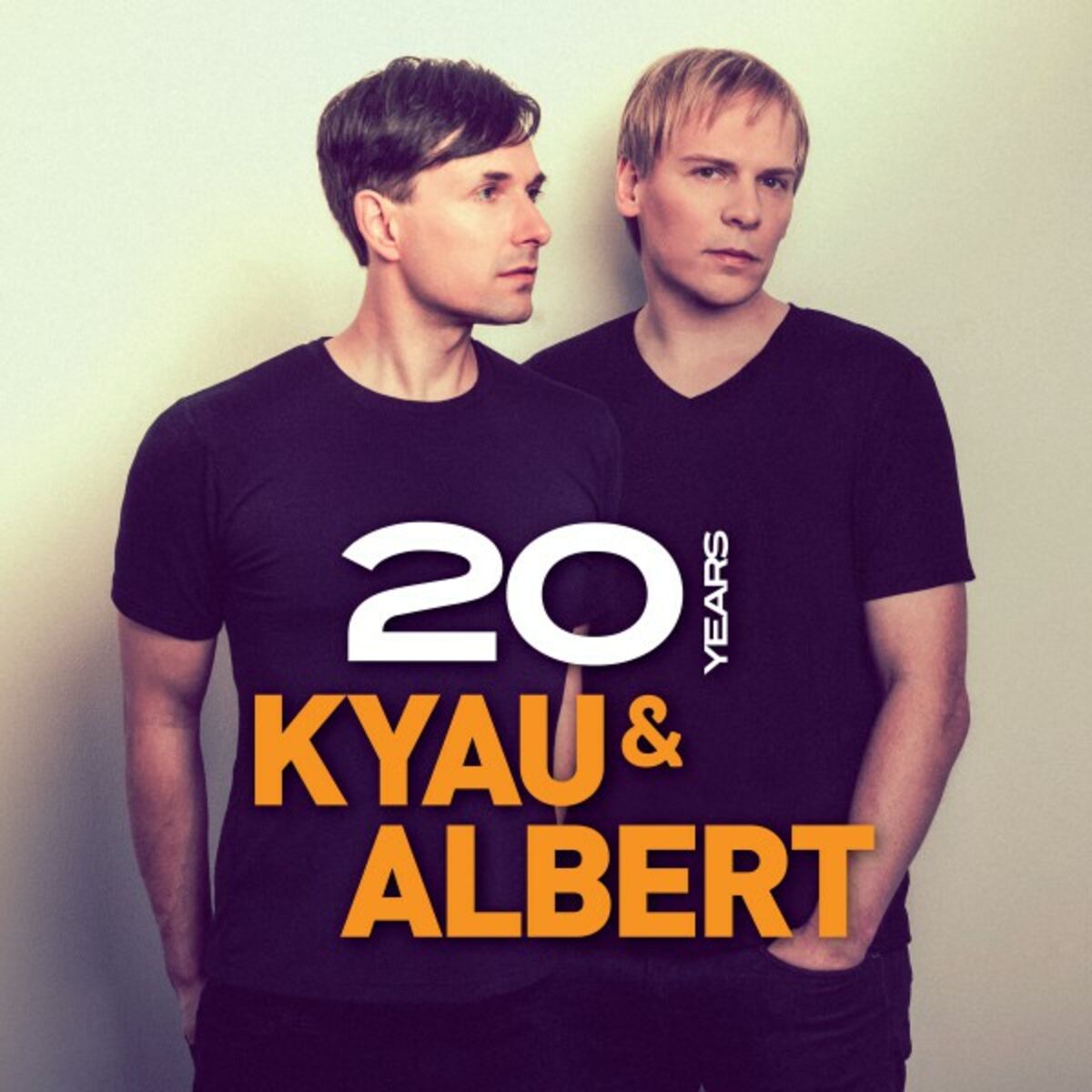 Album cover of 20 Years