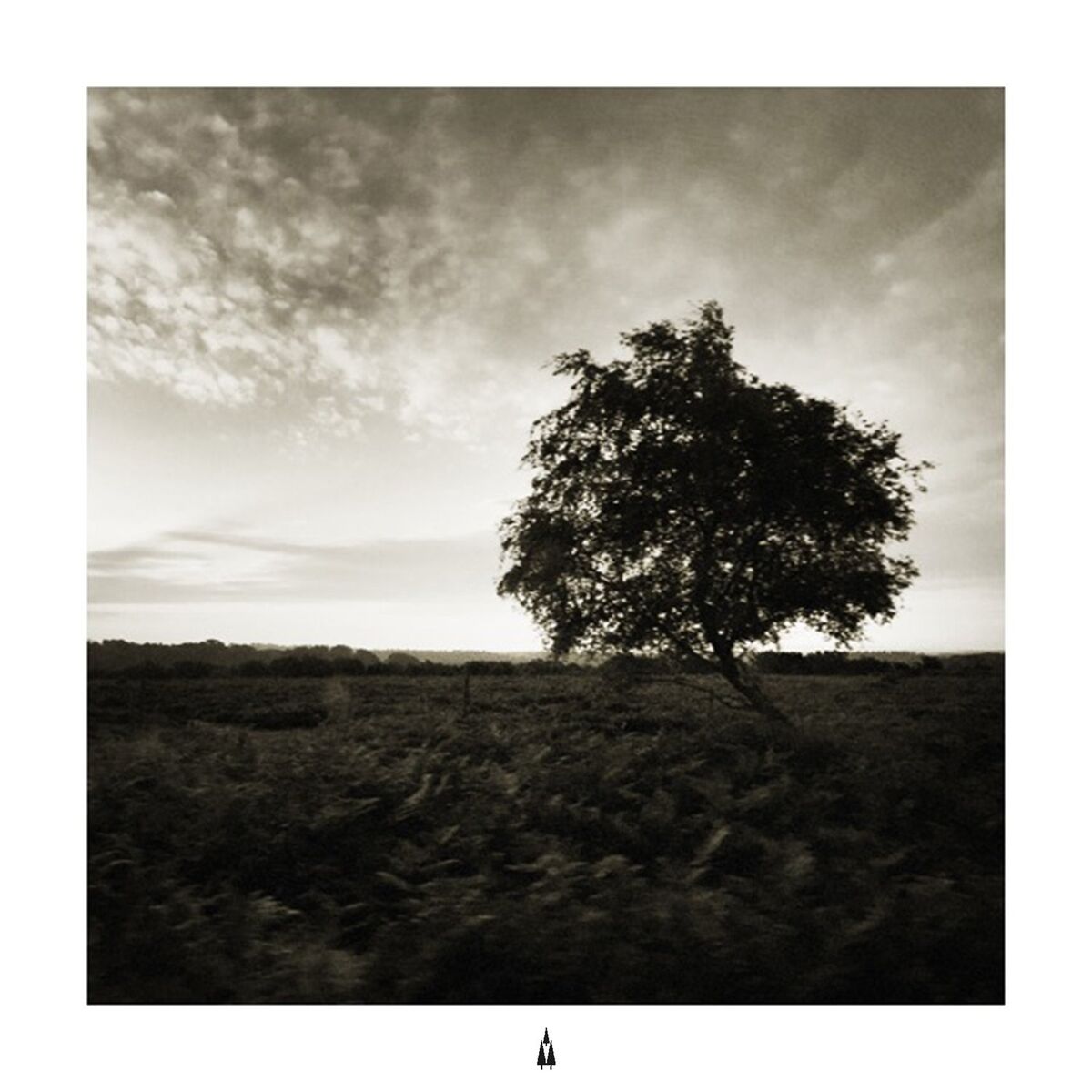 Album cover of Who You Are