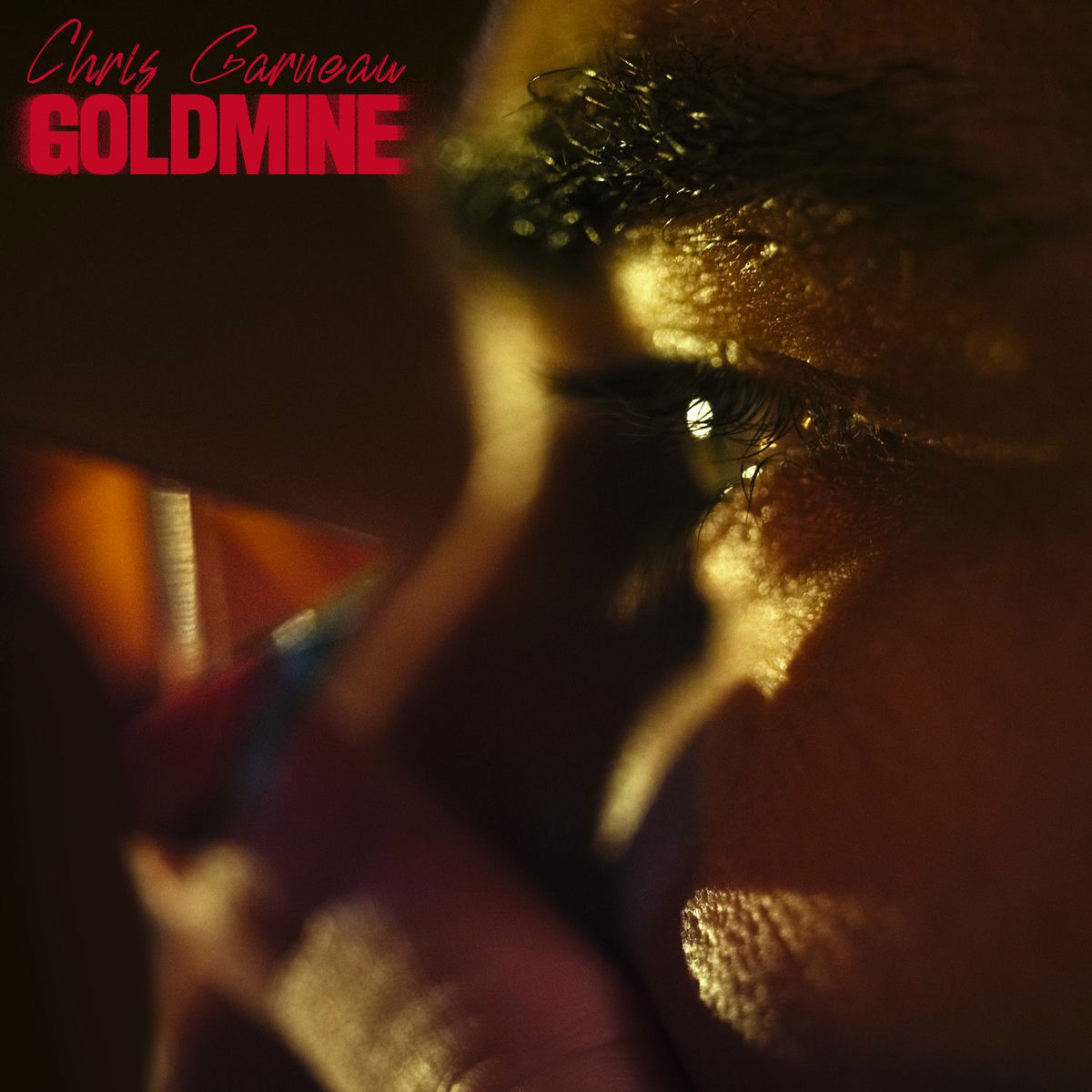 Album cover of Goldmine