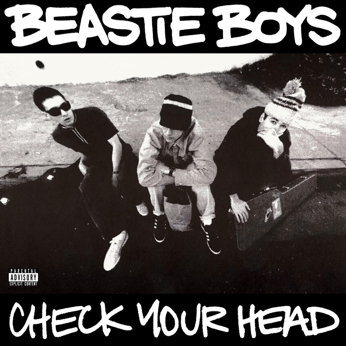Album picture of Check Your Head (Deluxe Edition/Remastered)