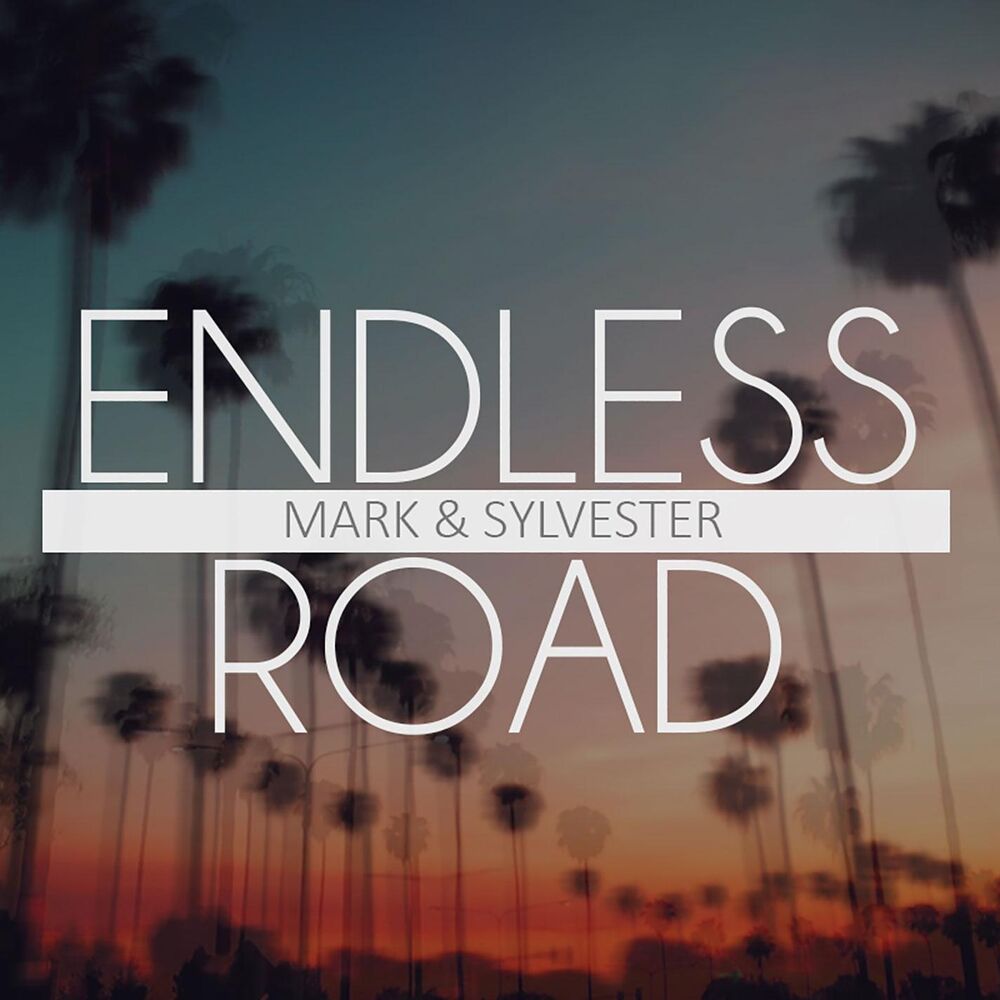 Picture of Endless Road