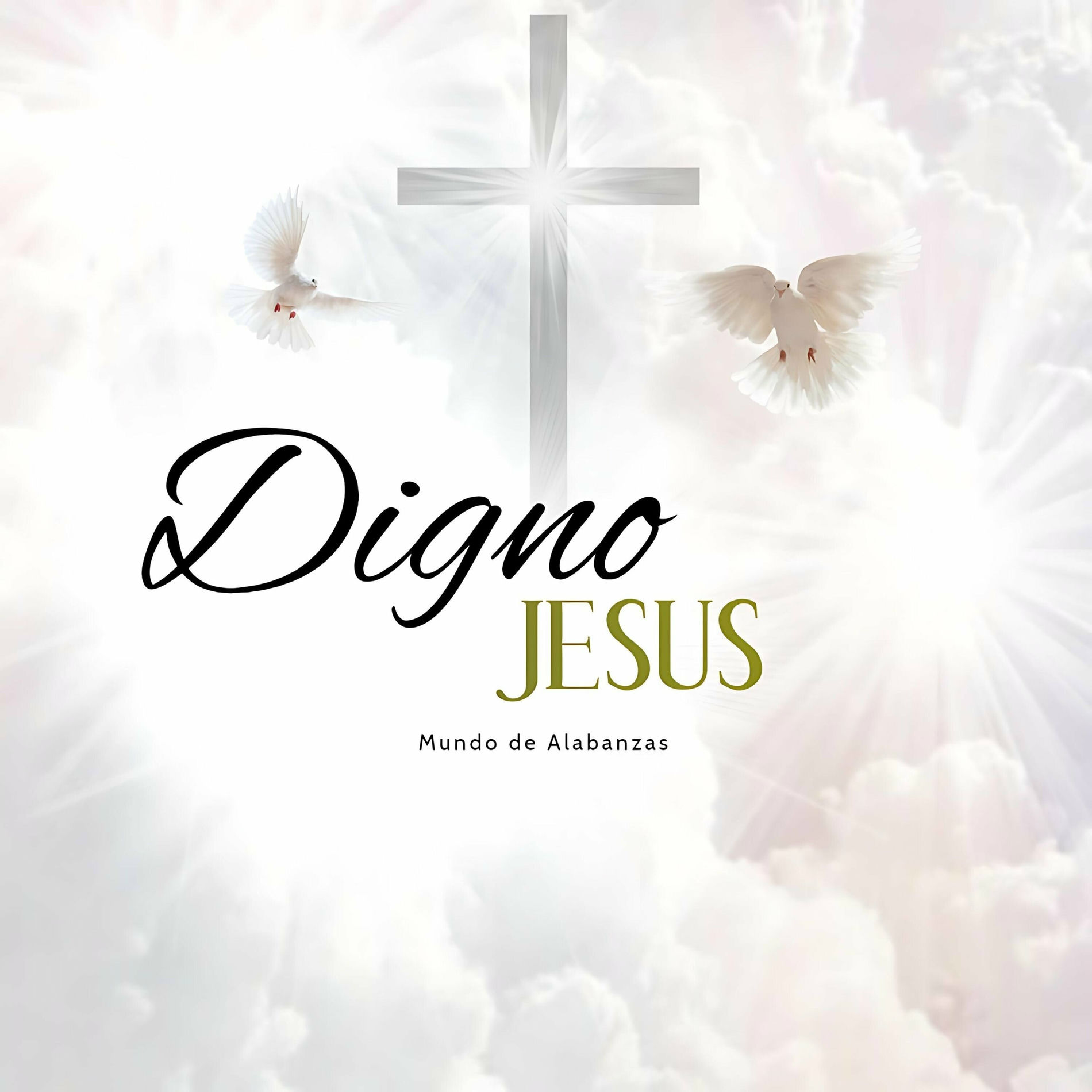 Album cover of Digno Jesus