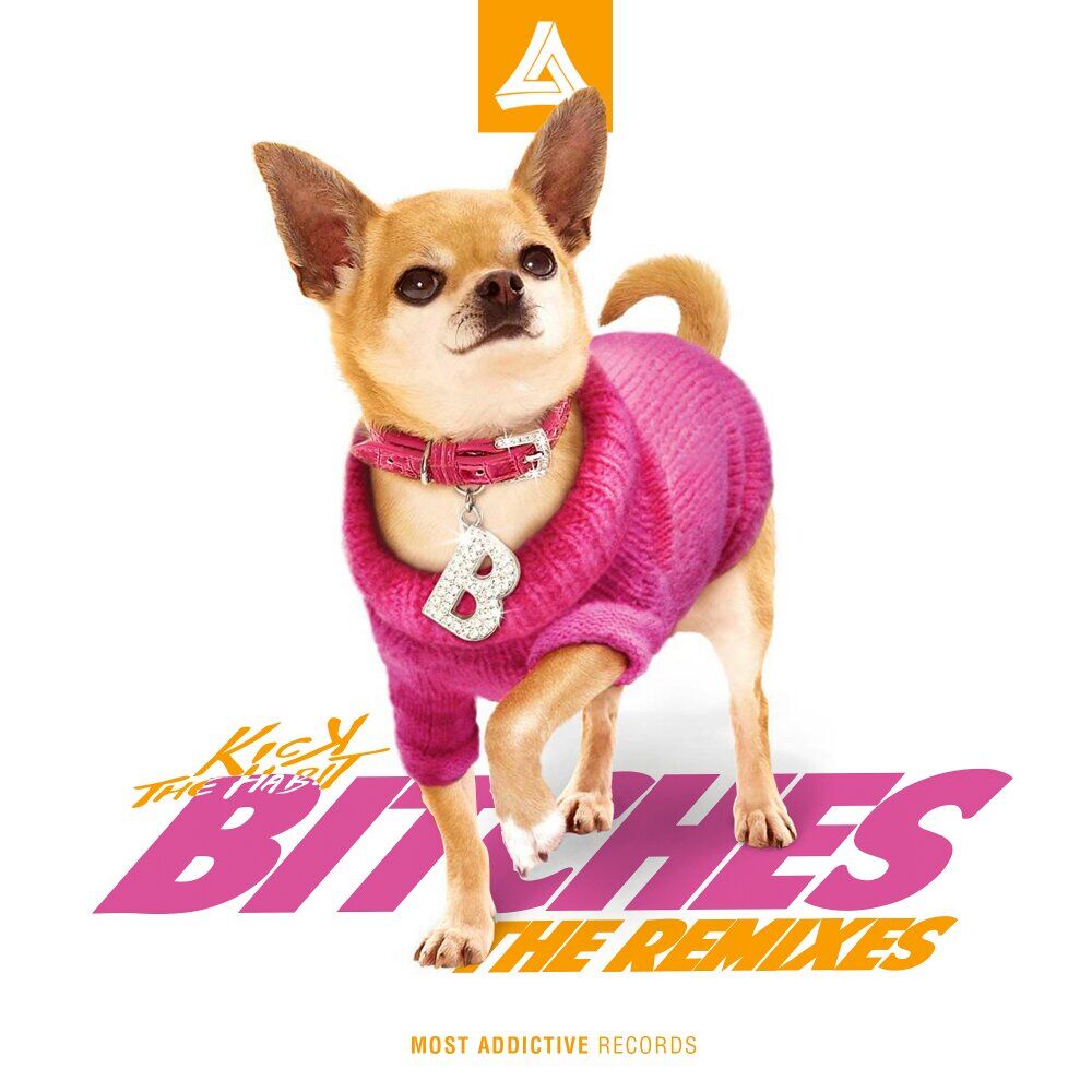 Picture of Bitches [The Remixes]