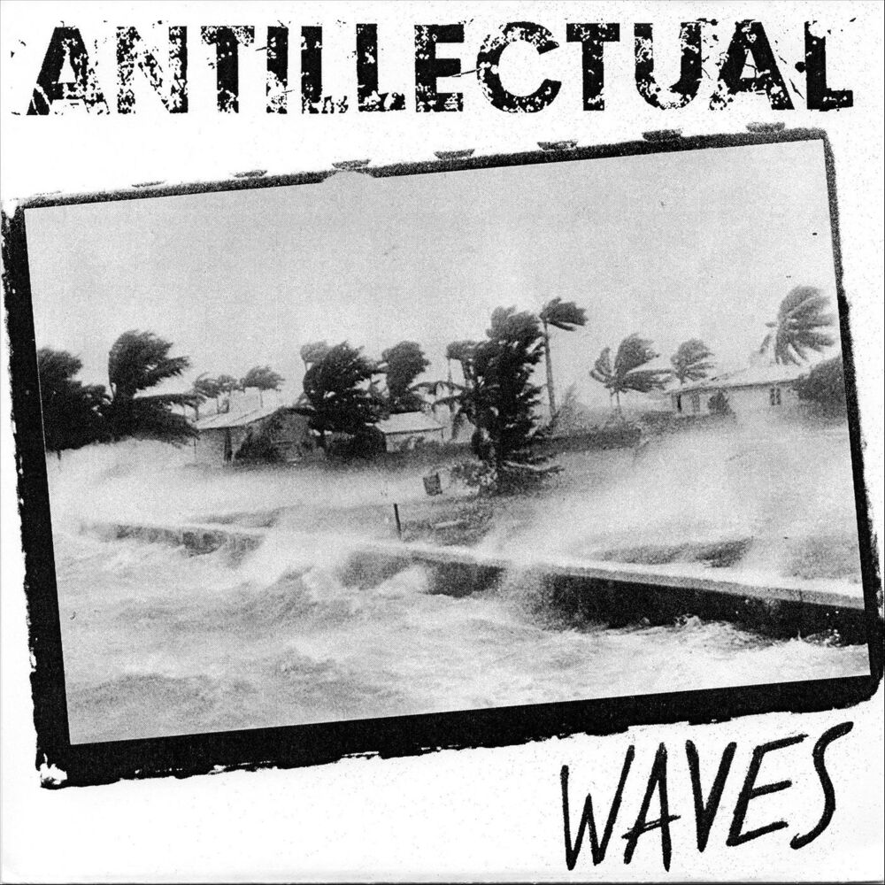 Picture of Waves