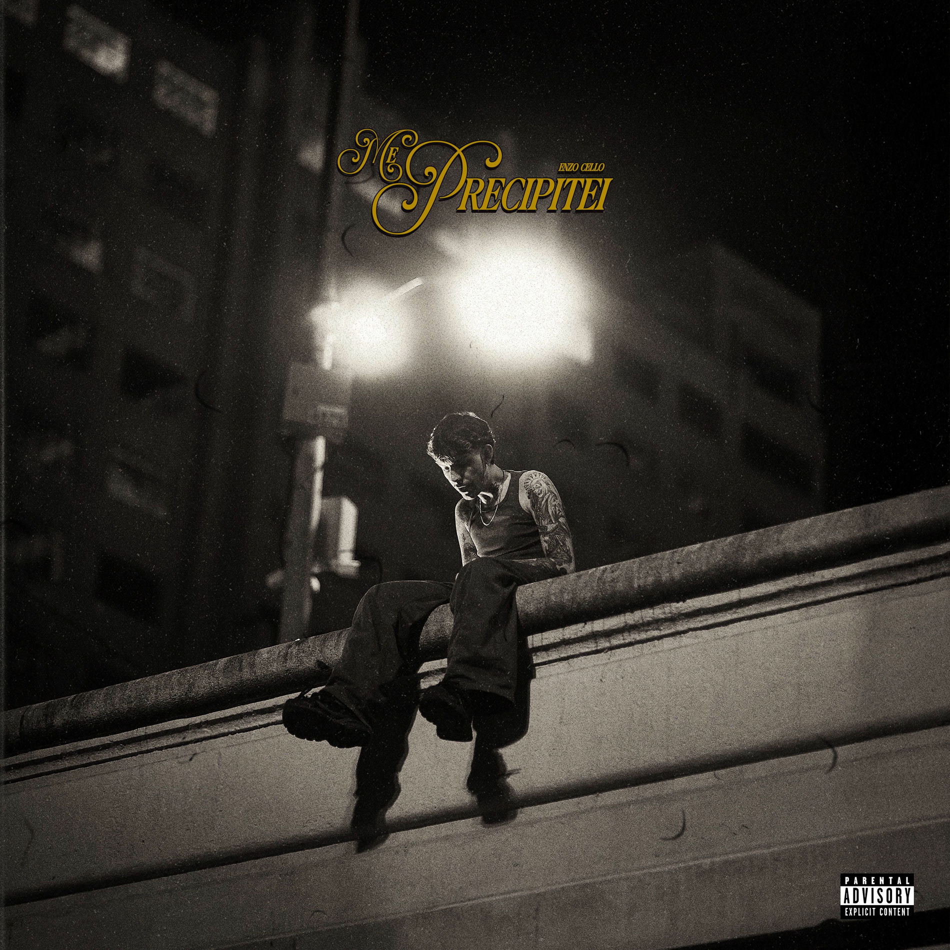 Album cover of Me Precipitei