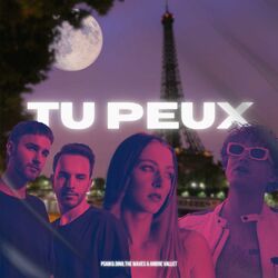 Cover of Tu Peux