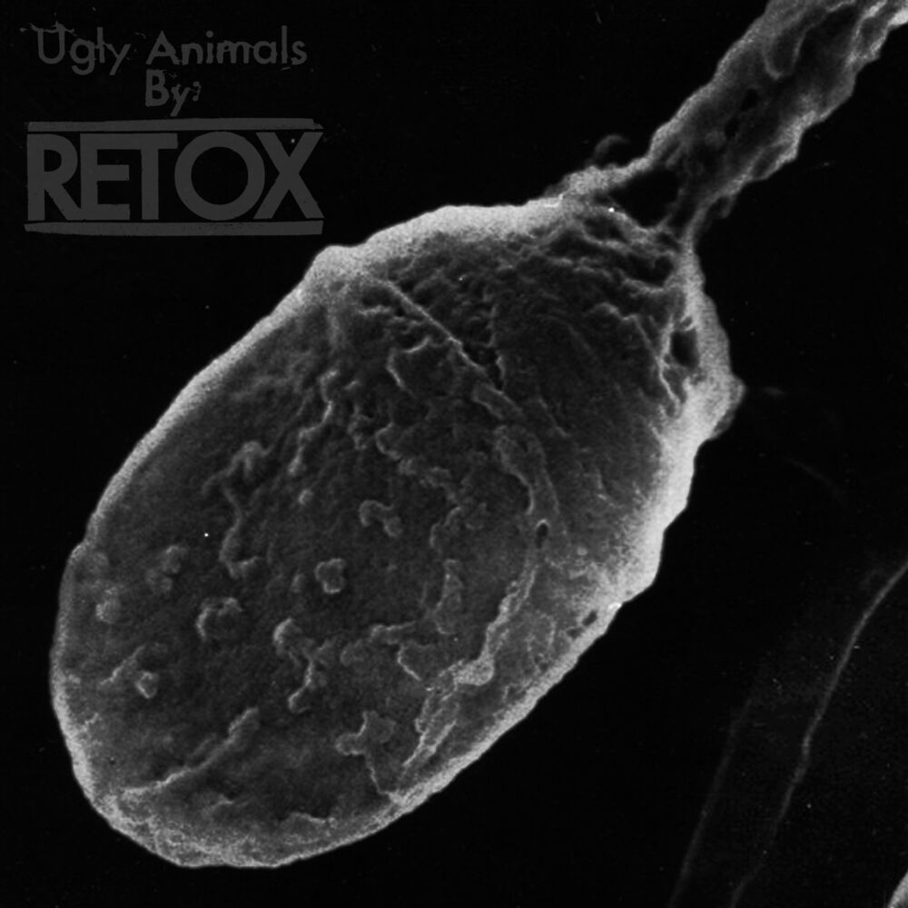 Picture of Ugly Animals