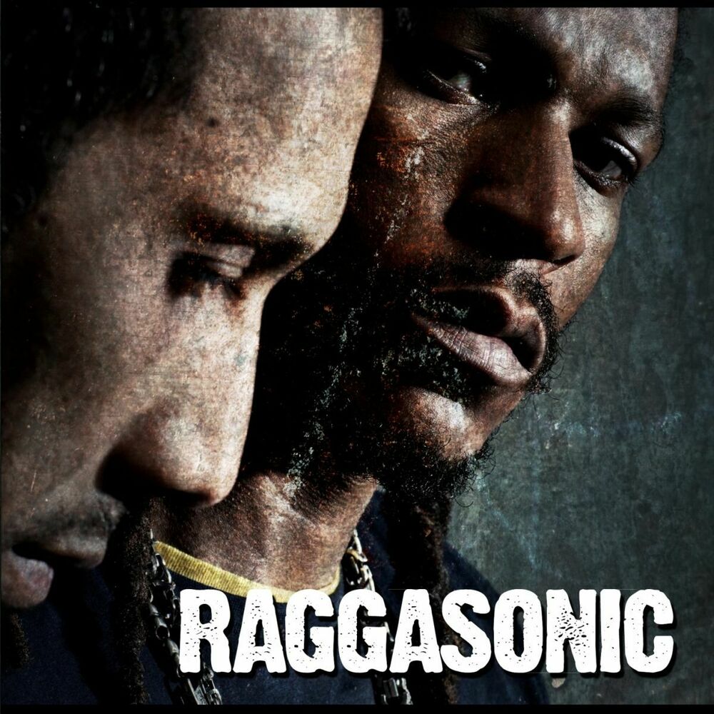 Picture of Raggasonic 3