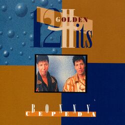 Cover of 12 Golden Hits