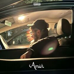 Cover of Amin