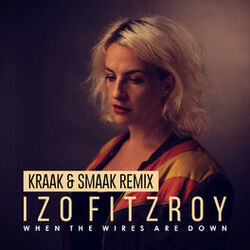 Cover of When the Wires Are Down (Kraak & Smaak Remix)