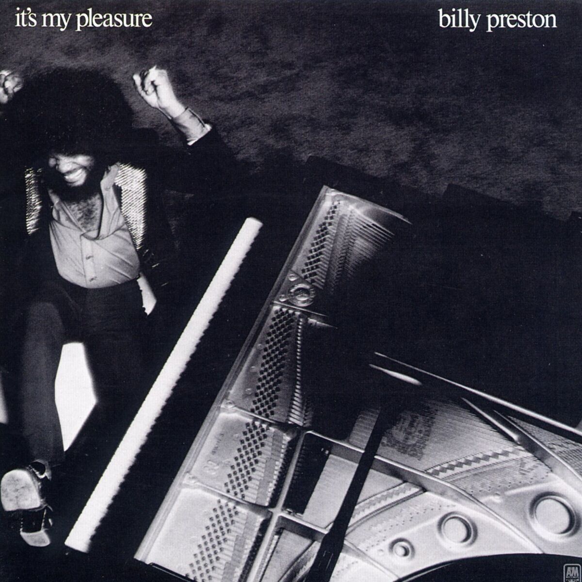 Album cover of It's My Pleasure