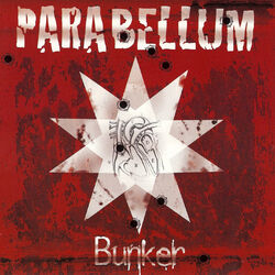 music cover