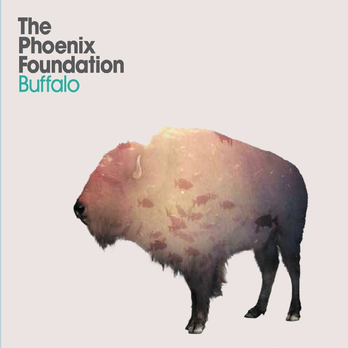 Album cover of Buffalo