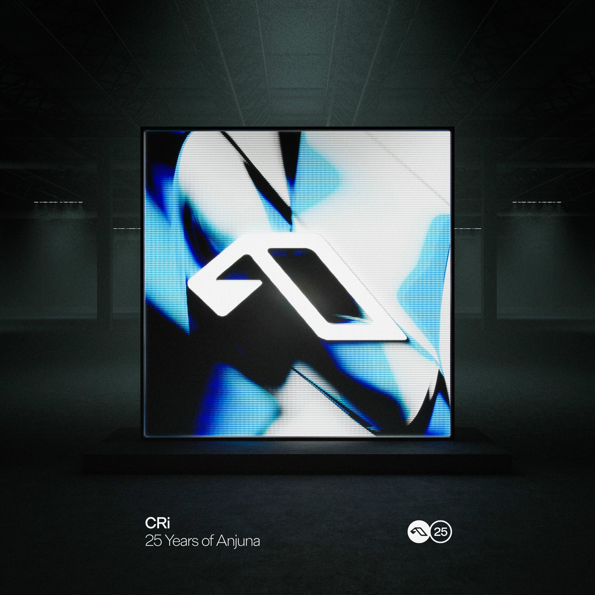 Album cover of 25 Years Of Anjuna Mixed By CRi