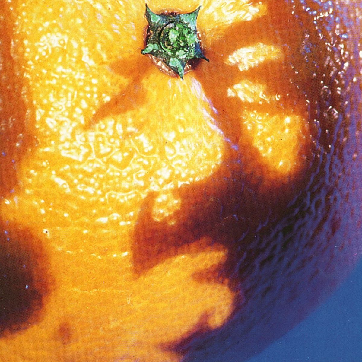 Album cover of Stash