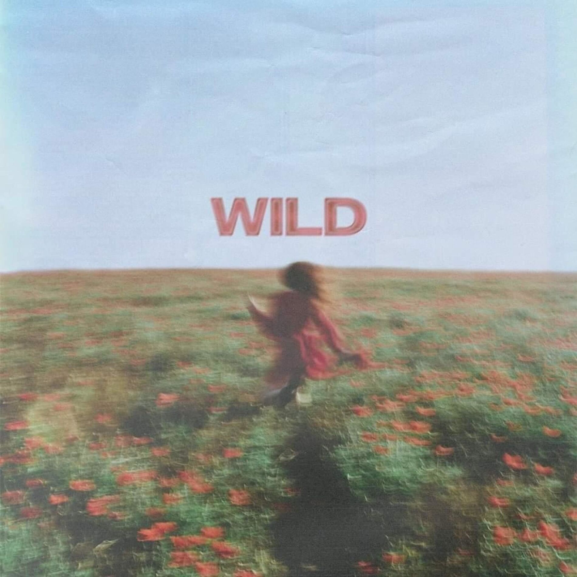 Album cover of Wild (feat. Samuel Morgan & gio.)